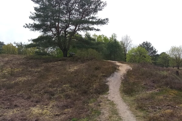 Foto van Blokhut Blueberry in Heide - Vakantiehuis in Neuenkirchen - Untagged