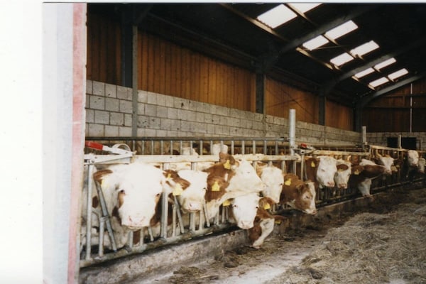 Foto van Vakantiehuis in  - Vakantiehuis in  - Untagged