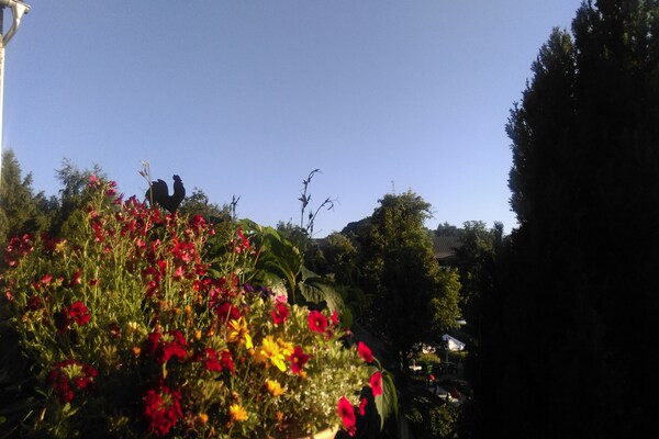 Foto van Appartement op de 1e verdieping nabij Willingen - Vakantiehuis in Willingen - ViewSummer