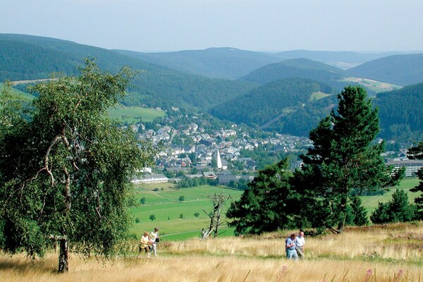 Foto van Zweeds Huis Uplandalm - Vakantiehuis in Willingen-Bömighausen - Untagged