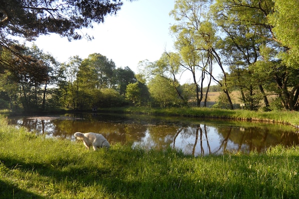 Foto van Hondvriendelijk vakantiehuis in de Knüll - Vakantiehuis in Neuenstein-Mühlbach - 