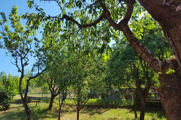 Foto van Charmant vakantiehuis met natuurlijke tuin - Vakantiehuis in Kaltennordheim-Unterweid - GardenSummer