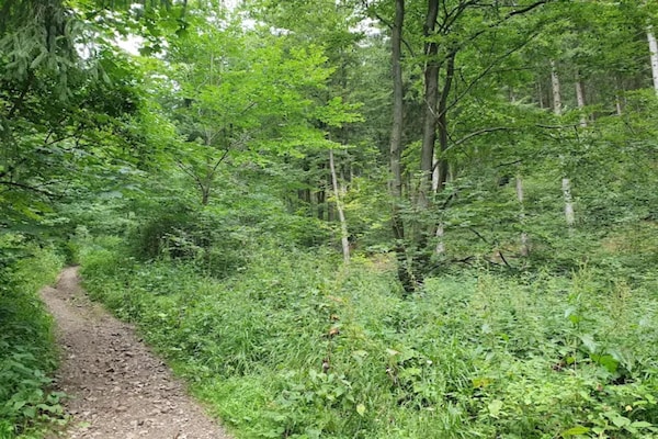 Foto van Appartement in Bad Grund - Vakantiehuis in Bad Grund - AreaSummer5KM