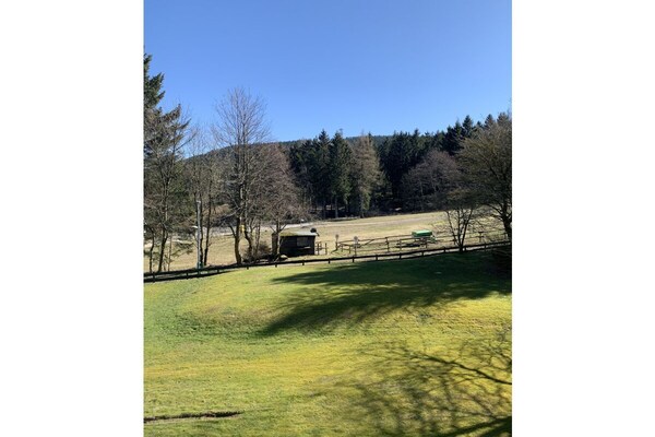 Foto van Bocksberg-Baude - Vakantiehuis in Hahnenklee\/ Goslar - Untagged