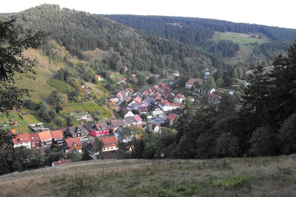 Foto van Bosretraite in Wildemann - Vakantiehuis in Wildemann - AreaSummer1KM