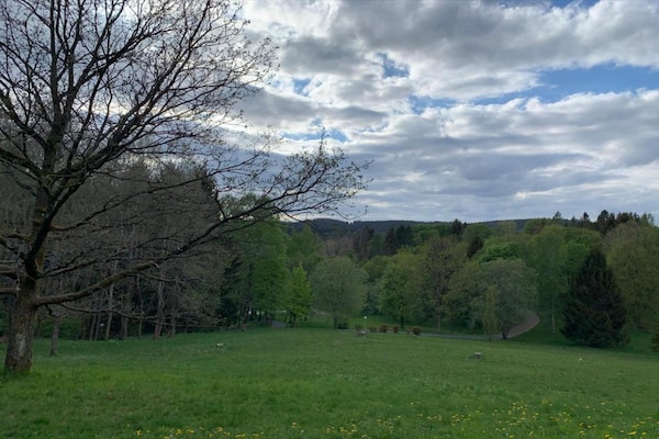 Foto van Bosretraite in Wildemann - Vakantiehuis in Wildemann - AreaSummer20KM