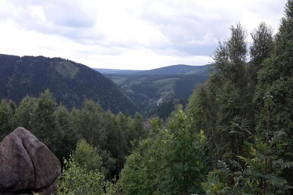Foto van Bosretraite in Wildemann - Vakantiehuis in Wildemann - AreaSummer20KM