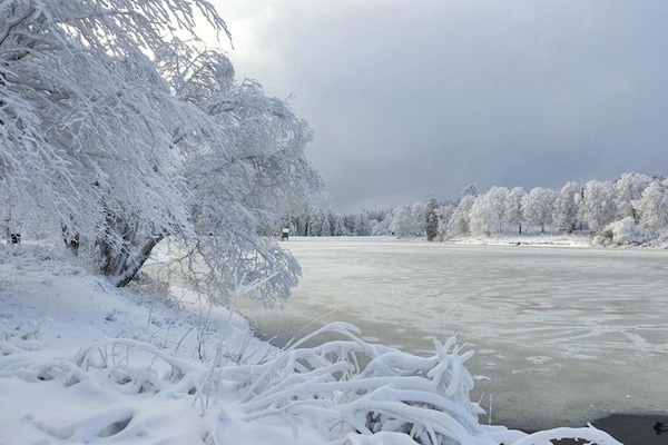 Foto van Bosretraite in Wildemann - Vakantiehuis in Wildemann - AreaWinter20KM