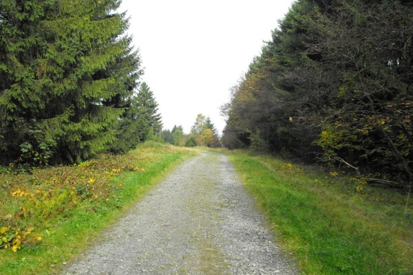 Foto van Appartement met parkeerplaats in Wildemann - Vakantiehuis in Wildemann - AreaSummer5KM