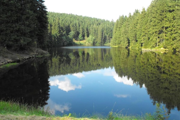 Foto van Appartement in Wildemann nabij Harzwald - Vakantiehuis in Wildemann - AreaSummer5KM