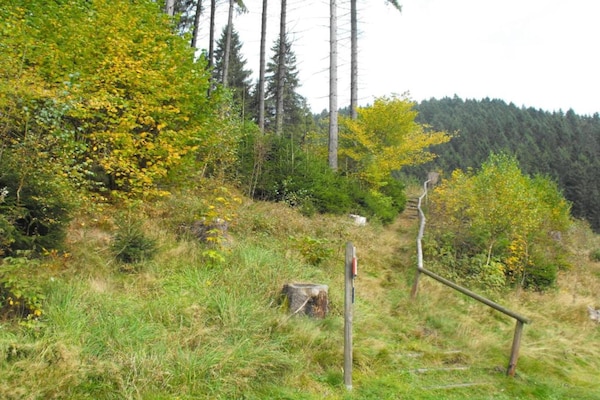 Foto van Appartement in Wildemann nabij Harzwald - Vakantiehuis in Wildemann - AreaSummer5KM