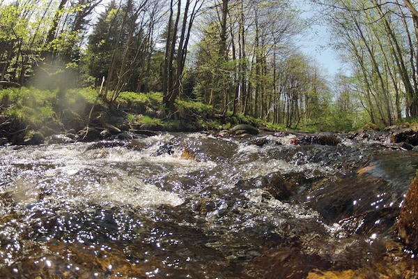 Foto van Halfvrijstaande woning in Hasselfelde - Vakantiehuis in Hasselfelde - AreaSummer5KM