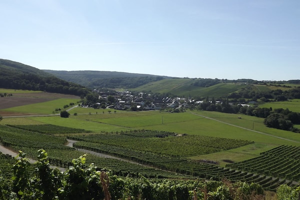 Foto van Becker Holiday Winery Apartment Hasenläufer - Vakantiehuis in Burgen - Untagged