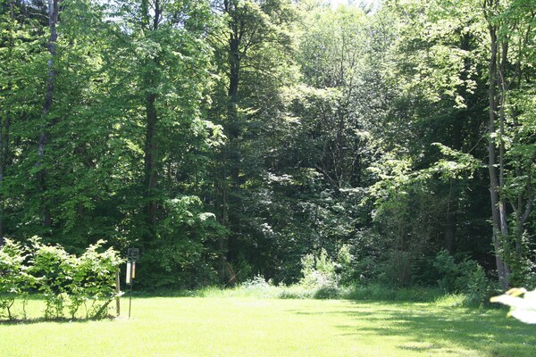Foto van Bungalow in Eifel bij Bergpaden - Vakantiehuis in Hinterhausen - Gerolstein - AreaSummer1KM