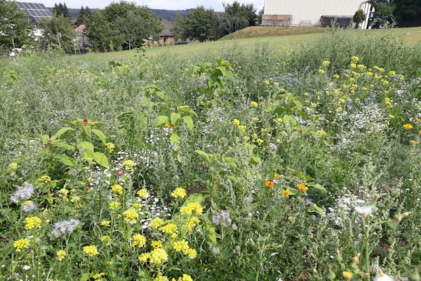 Foto van Backhaus Oberbettingen - Vakantiehuis in Oberbettingen - Untagged