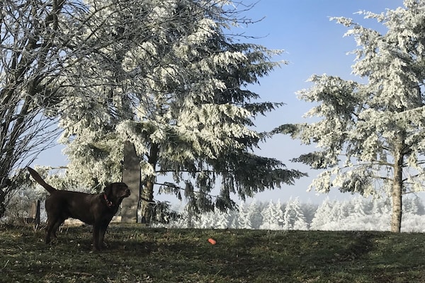 Foto van Bildsteins Kathmandu - Vakantiehuis in Langenfeld, Deutschland - Untagged