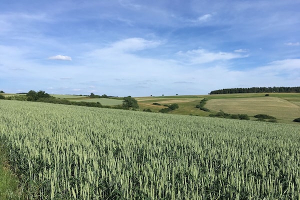 Foto van Eifelcottage Wren - Vakantiehuis in Ulmen - Untagged
