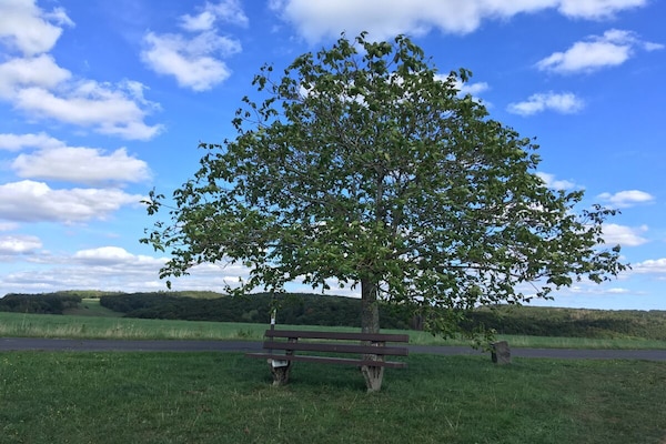 Foto van Eifelcottage Wren - Vakantiehuis in Ulmen - Untagged