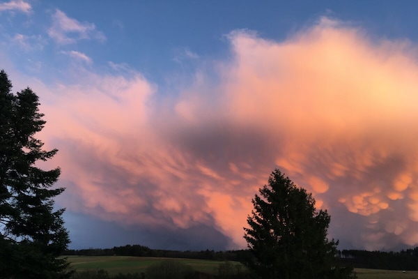 Foto van Eifelcottage Wren - Vakantiehuis in Ulmen - Untagged