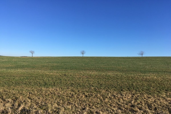 Foto van Eifelcottage Wren - Vakantiehuis in Ulmen - Untagged