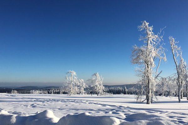 Foto van Groepsuitje met sauna - Vakantiehuis in Winterberg - AreaWinter20KM