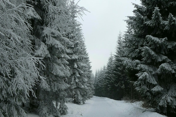 Foto van Appartement met balkon vlakbij het bos - Vakantiehuis in Winterberg - AreaWinter1KM