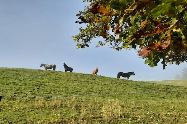 Foto van Boerderij met 1 slaapkamer - Vakantiehuis in Biberach Baden - Untagged