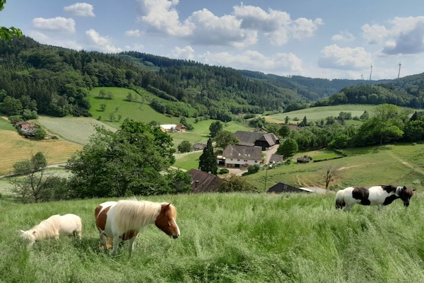 Foto van Boerderij met 1 slaapkamer - Vakantiehuis in Biberach Baden - Untagged