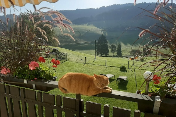 Foto van Boerderij met 1 slaapkamer - Vakantiehuis in Biberach Baden - Untagged