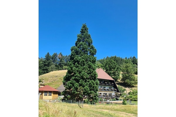 Foto van Boerderij met 1 slaapkamer - Vakantiehuis in Biberach Baden - Untagged