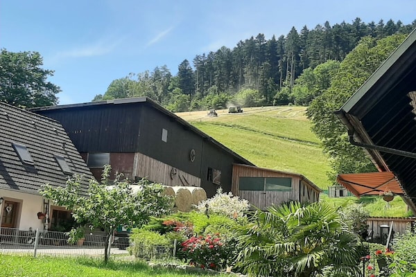 Foto van Boerderij met 1 slaapkamer - Vakantiehuis in Biberach Baden - Untagged