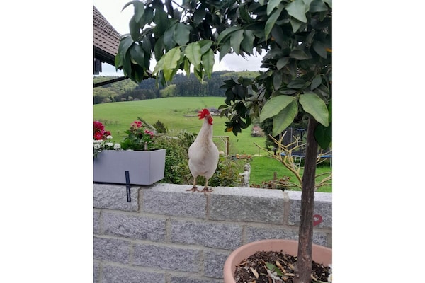 Foto van Boerderij met 1 slaapkamer - Vakantiehuis in Biberach Baden - Untagged