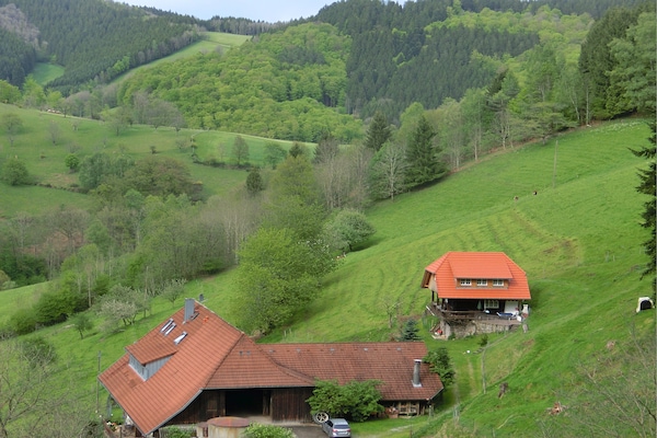 Foto van Boerderijschuilplaats, Mühlenbach - Vakantiehuis in Mühlenbach - AreaSummer1KM