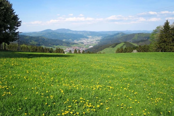 Foto van Boerderijschuilplaats, Mühlenbach - Vakantiehuis in Mühlenbach - AreaSummer20KM