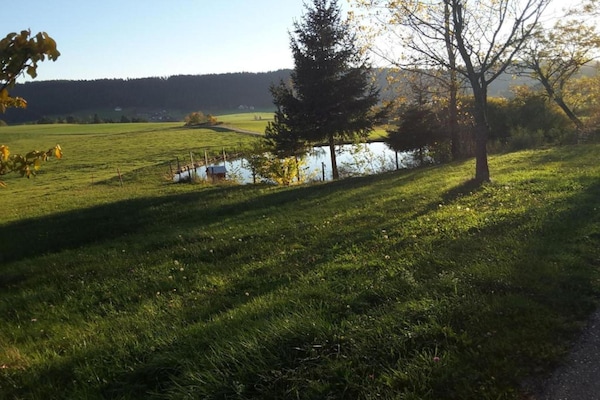 Foto van Boerderijschuilplaats, Mühlenbach - Vakantiehuis in Mühlenbach - AreaSummer20KM