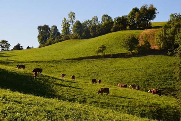 Foto van Boerderijschuilplaats, Mühlenbach - Vakantiehuis in Mühlenbach - AreaSummer20KM