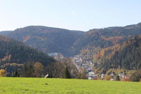 Foto van Molenhuisretraite in Brigach - Vakantiehuis in Sankt Georgen ot Brigach - AreaSummer20KM