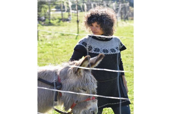 Foto van Biologische boerderij met 2 slaapkamers - Vakantiehuis in Elzach\/Heidburg - Untagged