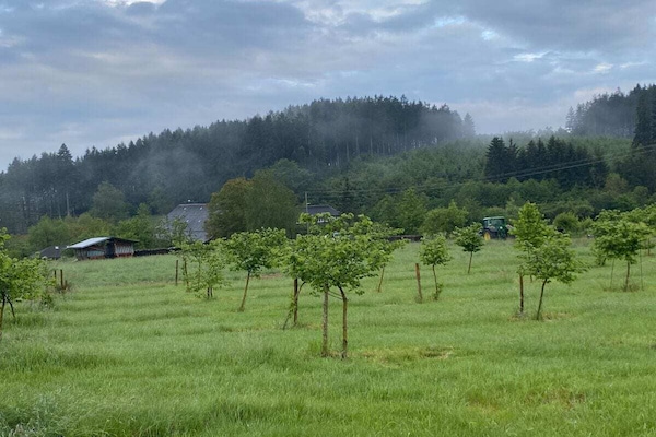 Foto van Biologische boerderij met 2 slaapkamers - Vakantiehuis in Elzach\/Heidburg - Untagged