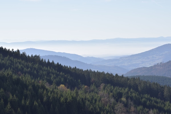 Foto van Basseltang Hus - SDenn - Vakantiehuis in Todtnau - Untagged