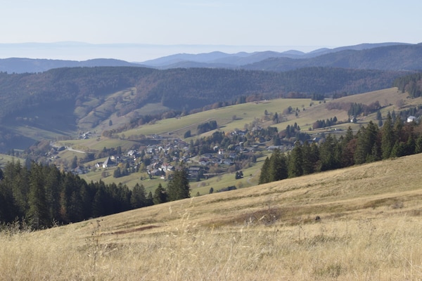 Foto van Basseltang Hus - SDenn - Vakantiehuis in Todtnau - Untagged