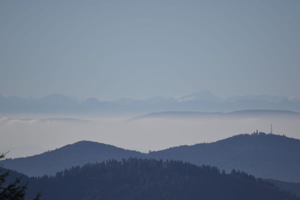 Foto van Basseltang Hus - SDenn - Vakantiehuis in Todtnau - Untagged