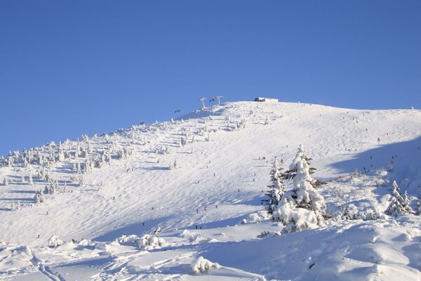 Foto van 3-kamer familieappartement Sneeuwroos - Vakantiehuis in Reit im Winkl - Untagged