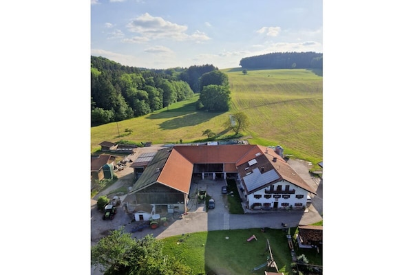 Foto van Vakantiehuis in  - Vakantiehuis in  - Untagged