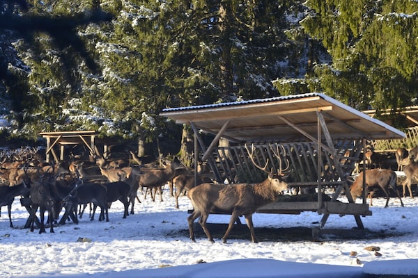 Foto van Vakantiehuis in  - Vakantiehuis in  - Untagged