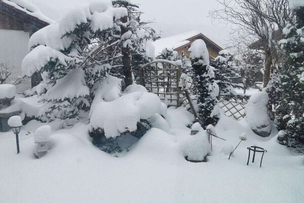 Foto van Berguitzicht op het Bodenmeer met wintertuin - Vakantiehuis in Oberstaufen - Untagged