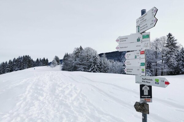 Foto van Berguitzicht op het Bodenmeer met wintertuin - Vakantiehuis in Oberstaufen - Untagged