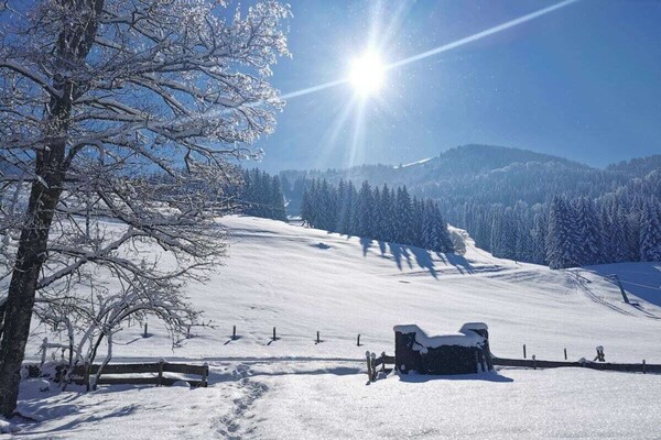 Foto van Berguitzicht op het Bodenmeer met wintertuin - Vakantiehuis in Oberstaufen - Untagged