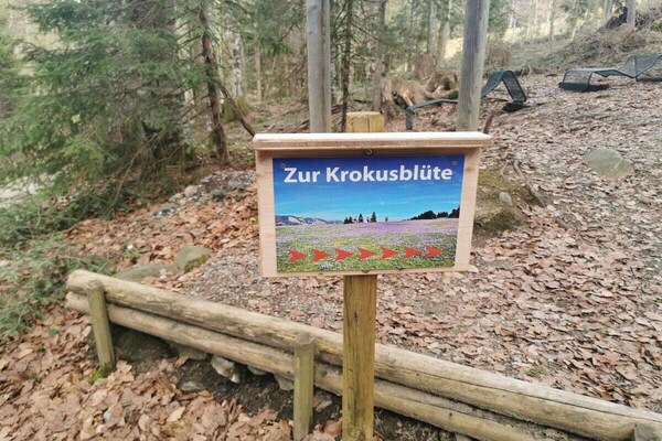 Foto van Berguitzicht op het Bodenmeer met wintertuin - Vakantiehuis in Oberstaufen - Untagged