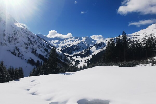 Foto van Berguitzicht op het Bodenmeer met wintertuin - Vakantiehuis in Oberstaufen - Untagged